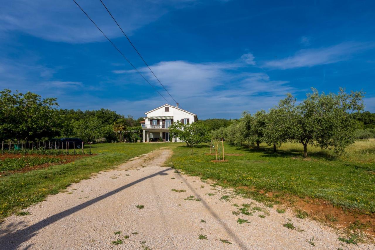 Apartments Sara Milohnici Dış mekan fotoğraf